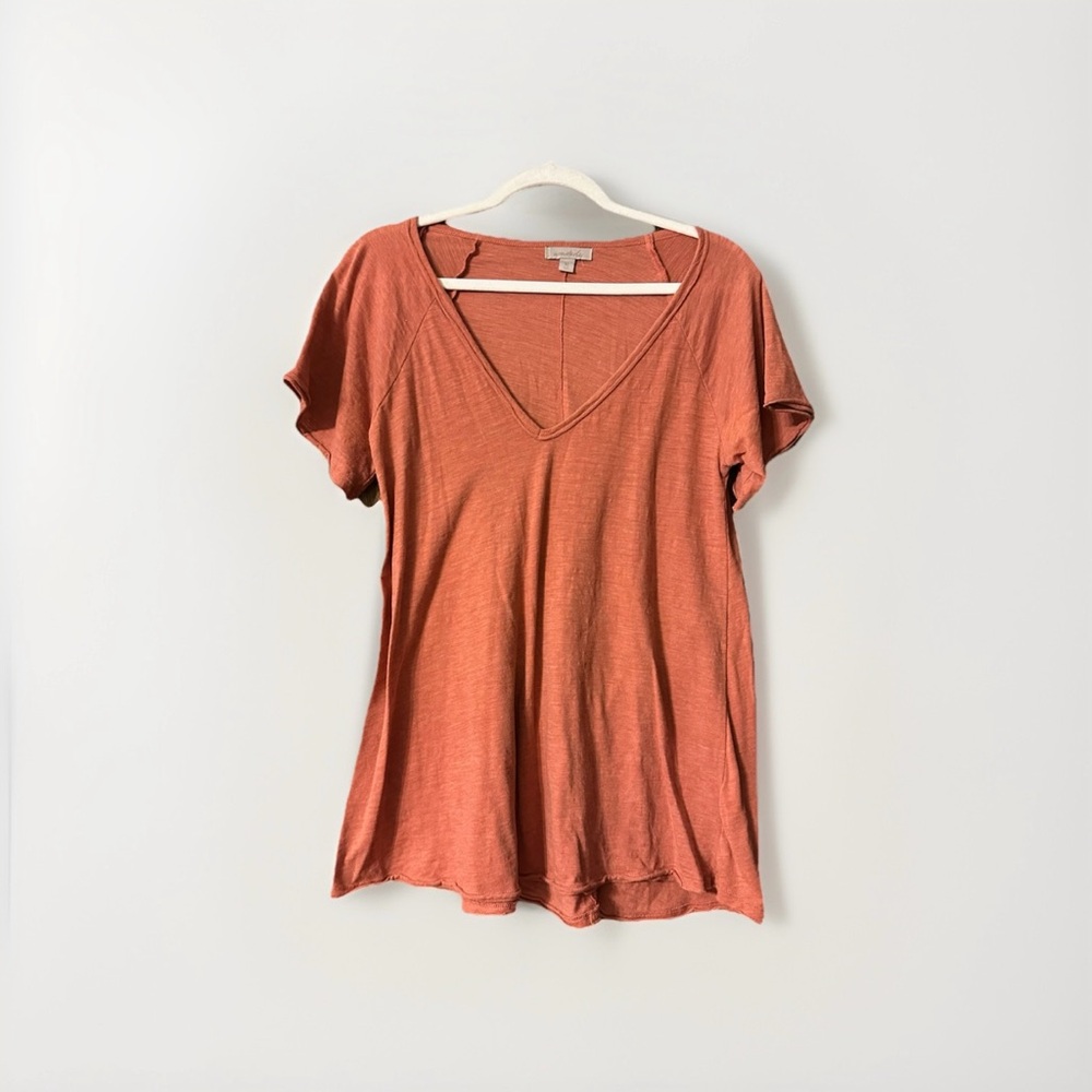 Wonderly Short Sleeve V-Neck Top in Rust